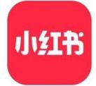 深圳网络推广,小红书排名笔记要义-爱游戏平台seo